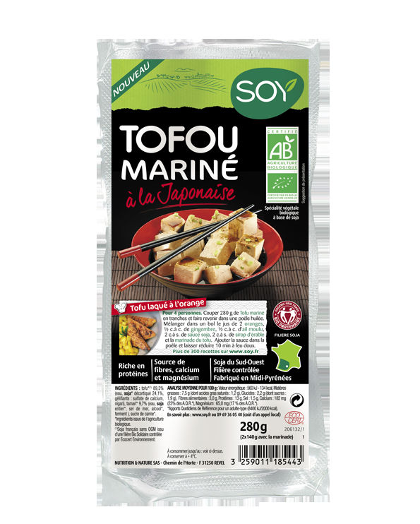 Tofu Mariné à la Japonaise
